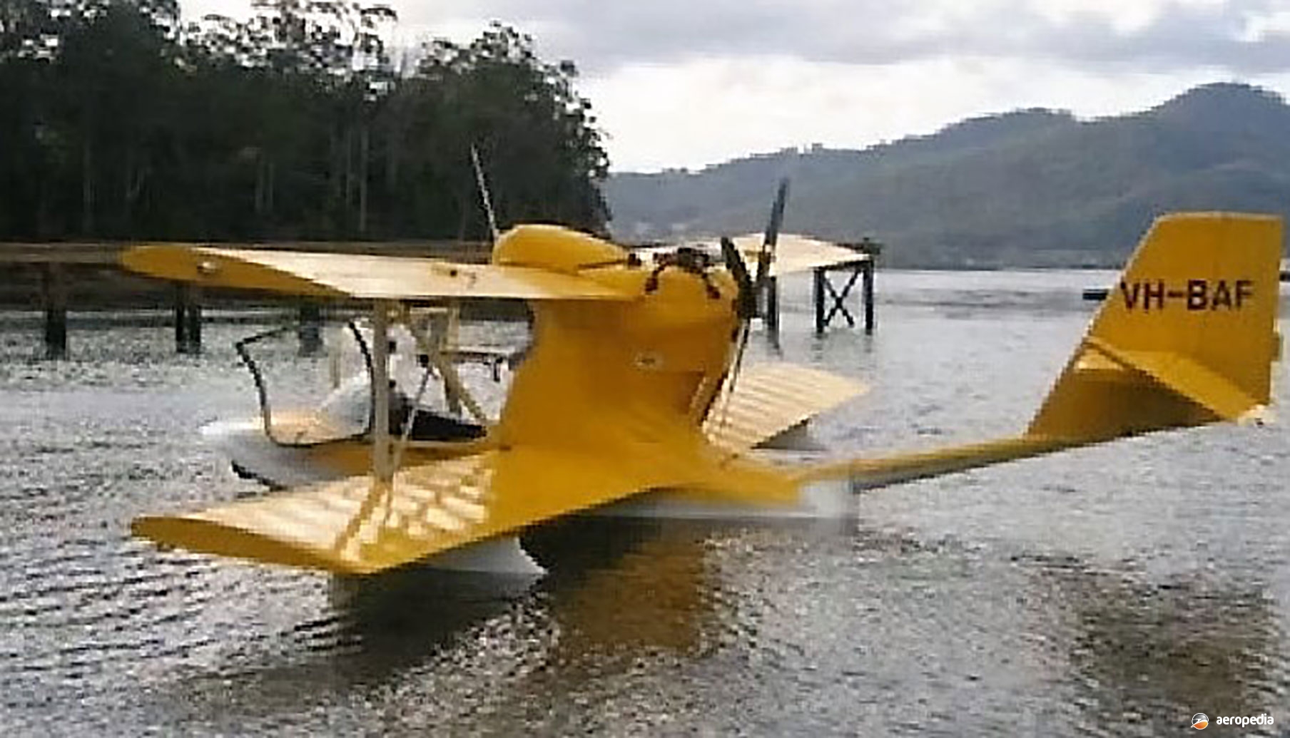 Aac Amphibian Airplanes Seastar·The Encyclopedia of Aircraft David tyre