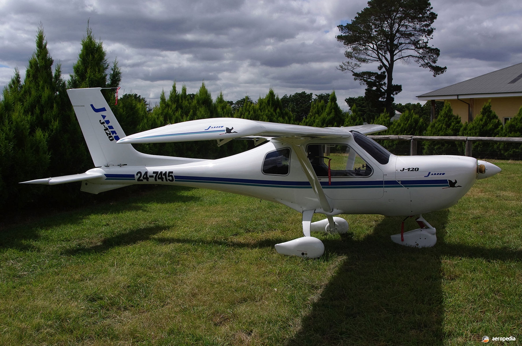 jabiru