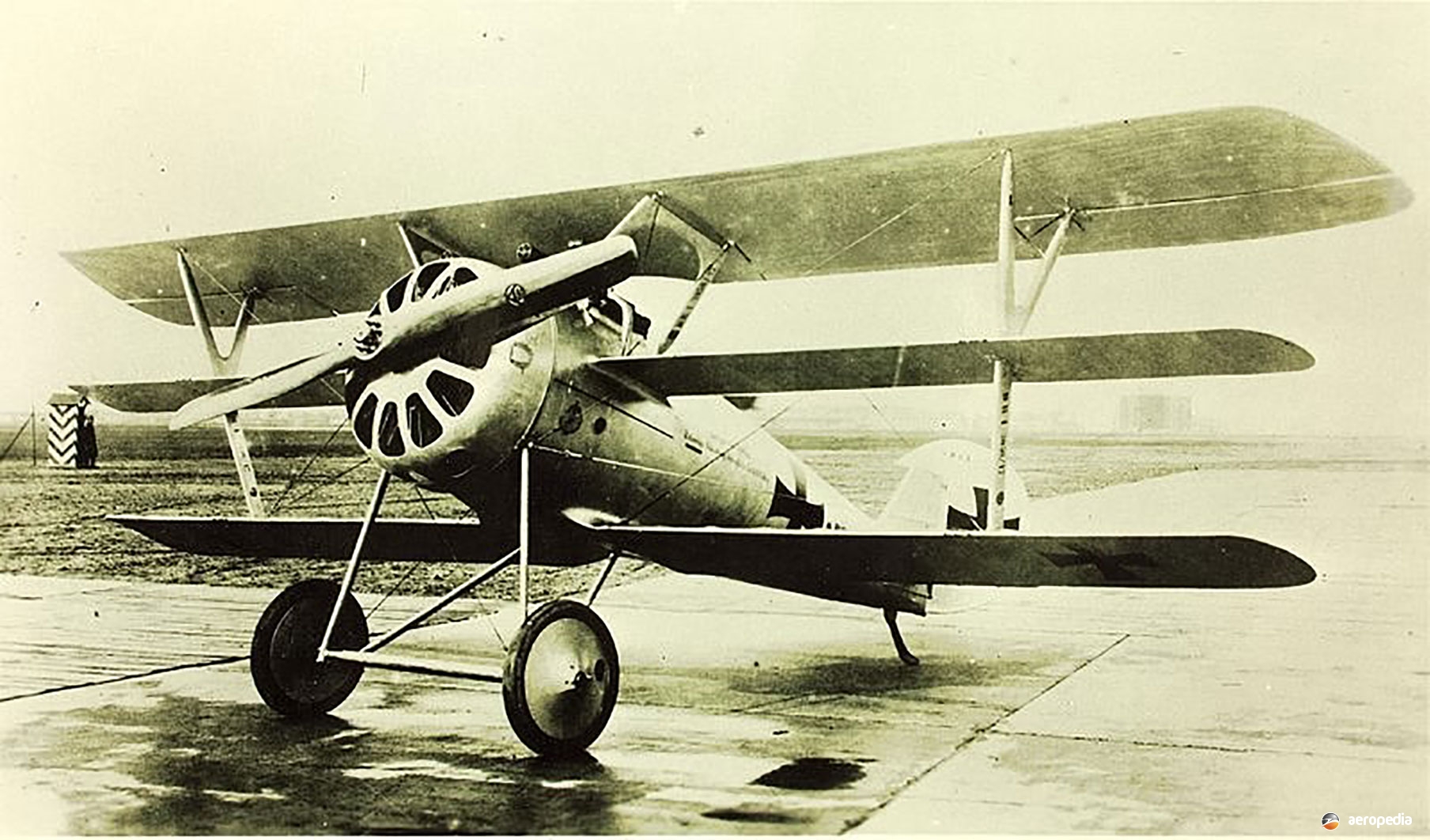 PFALZ Dr.1 TRIPLANE · The Encyclopedia of Aircraft David C. Eyre