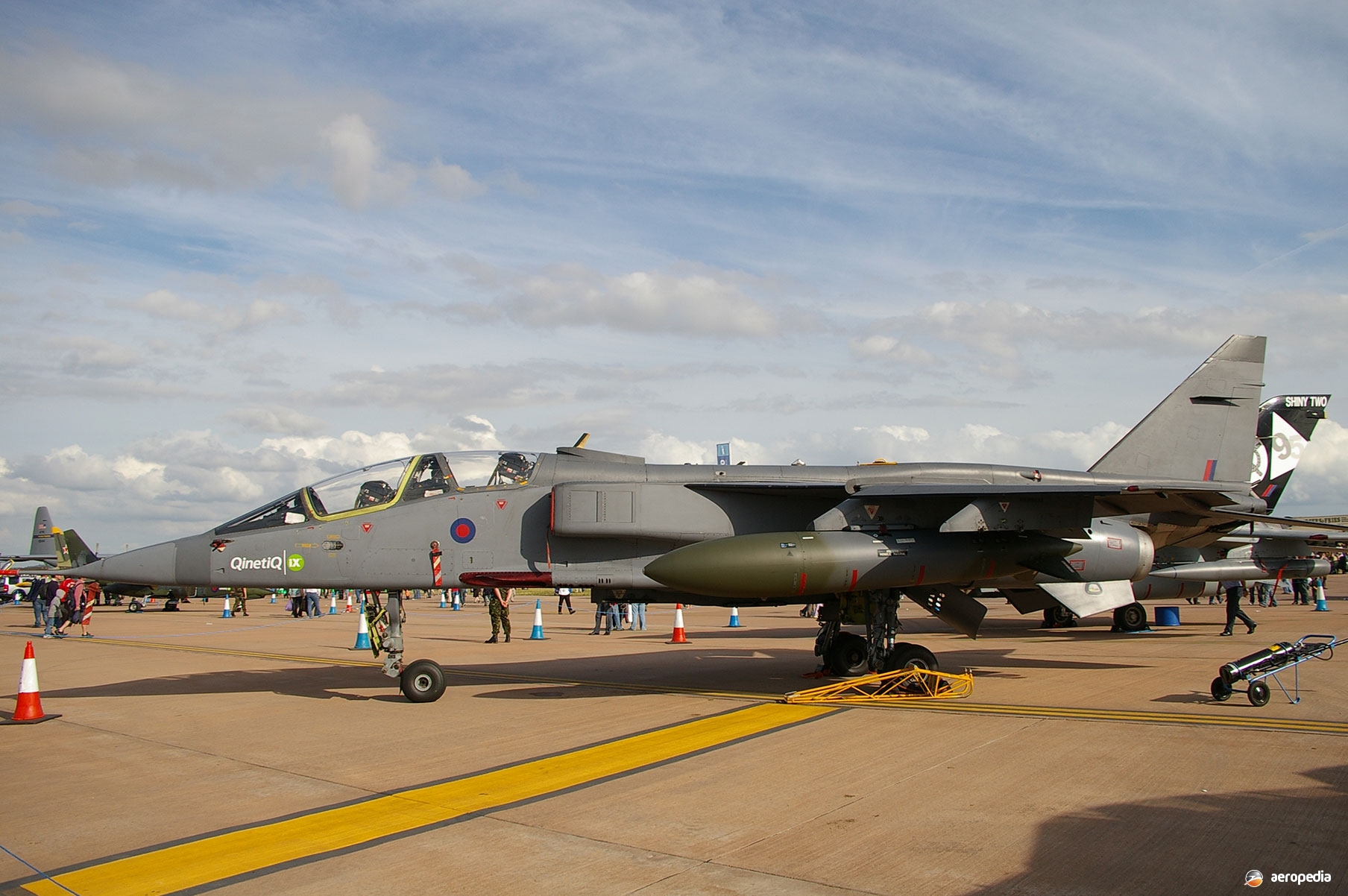 Aircraft Photo Of 206 | Sepecat Jaguar OS | Oman   Air Force